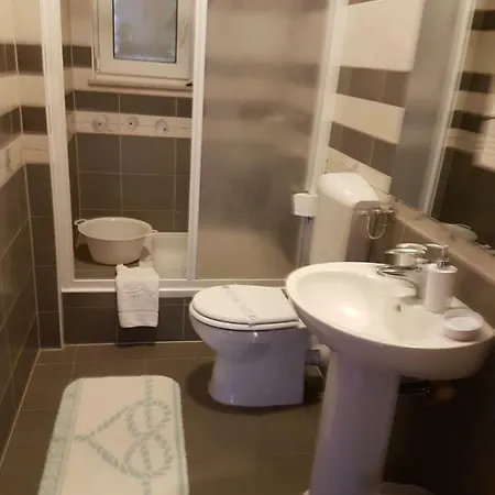 Marta טרוגיר