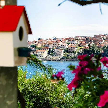 Marta Trogir